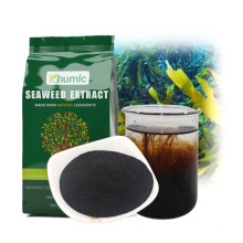 liquid kelp fertilizer seaweed extract organic seaweed extract